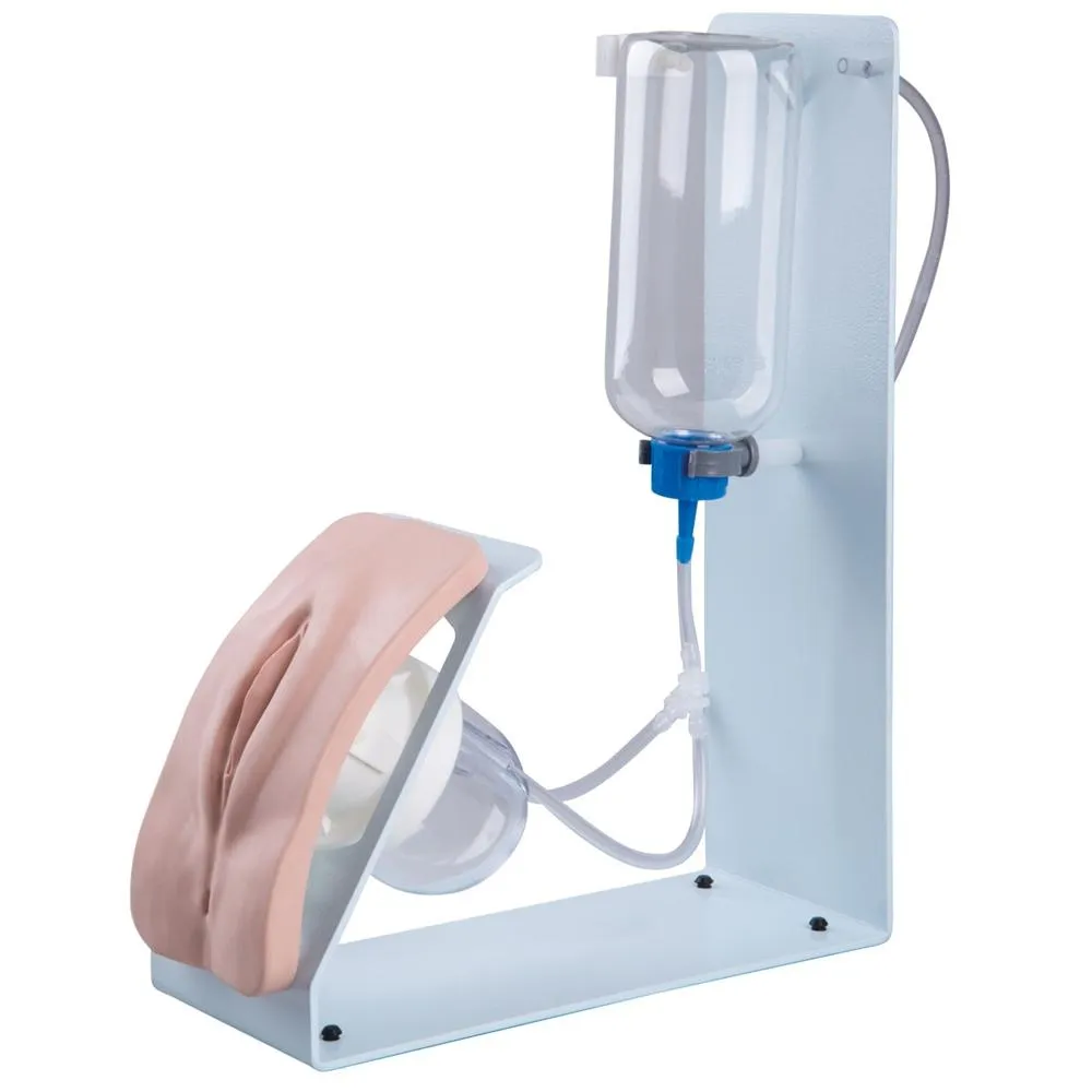 Catheterization Simulator, Basic Female, Light Skin