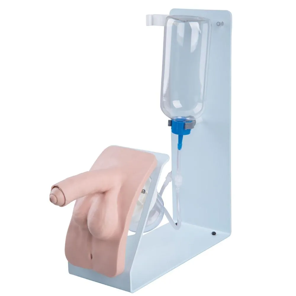 Catheterization Simulator, Basic Male, Light Skin