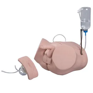 Catheterization simulator PRO SET F/M