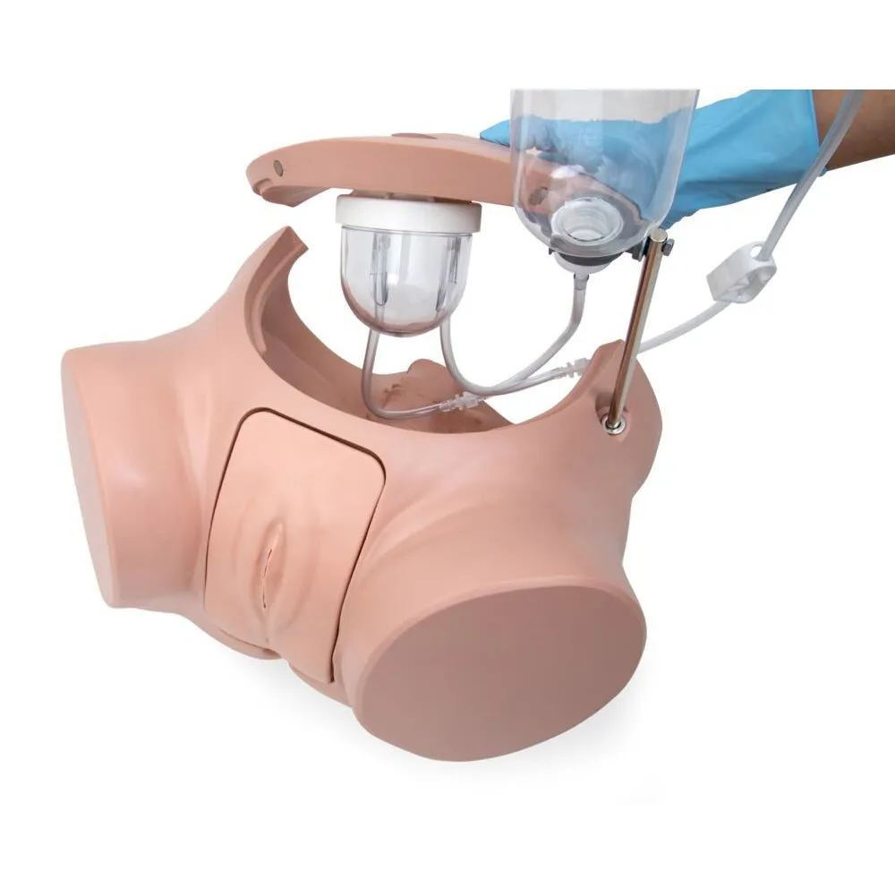 Catheterization Trainer Simulator Set PRO Version, Male and Female, Light Skin