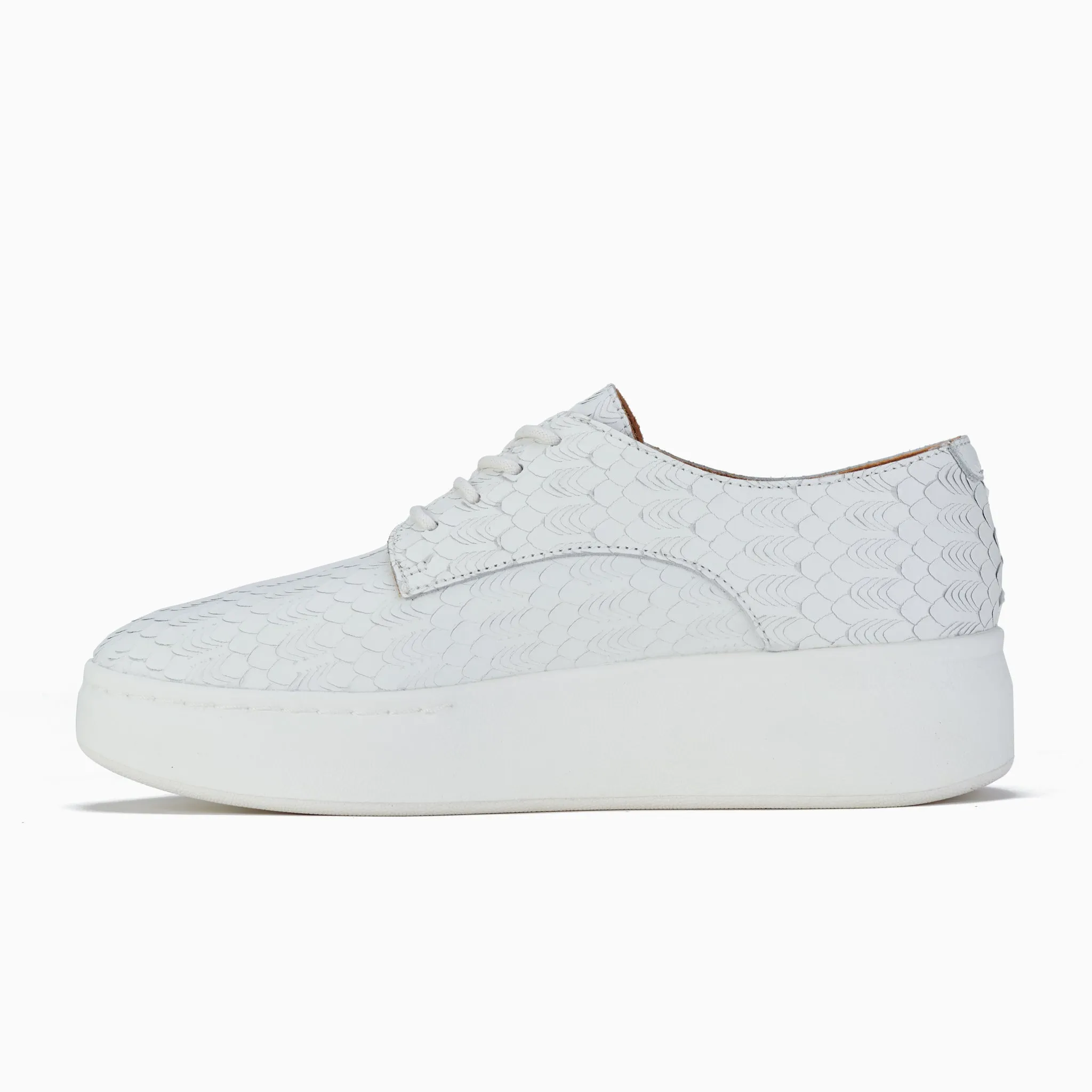 Derby City White Geo