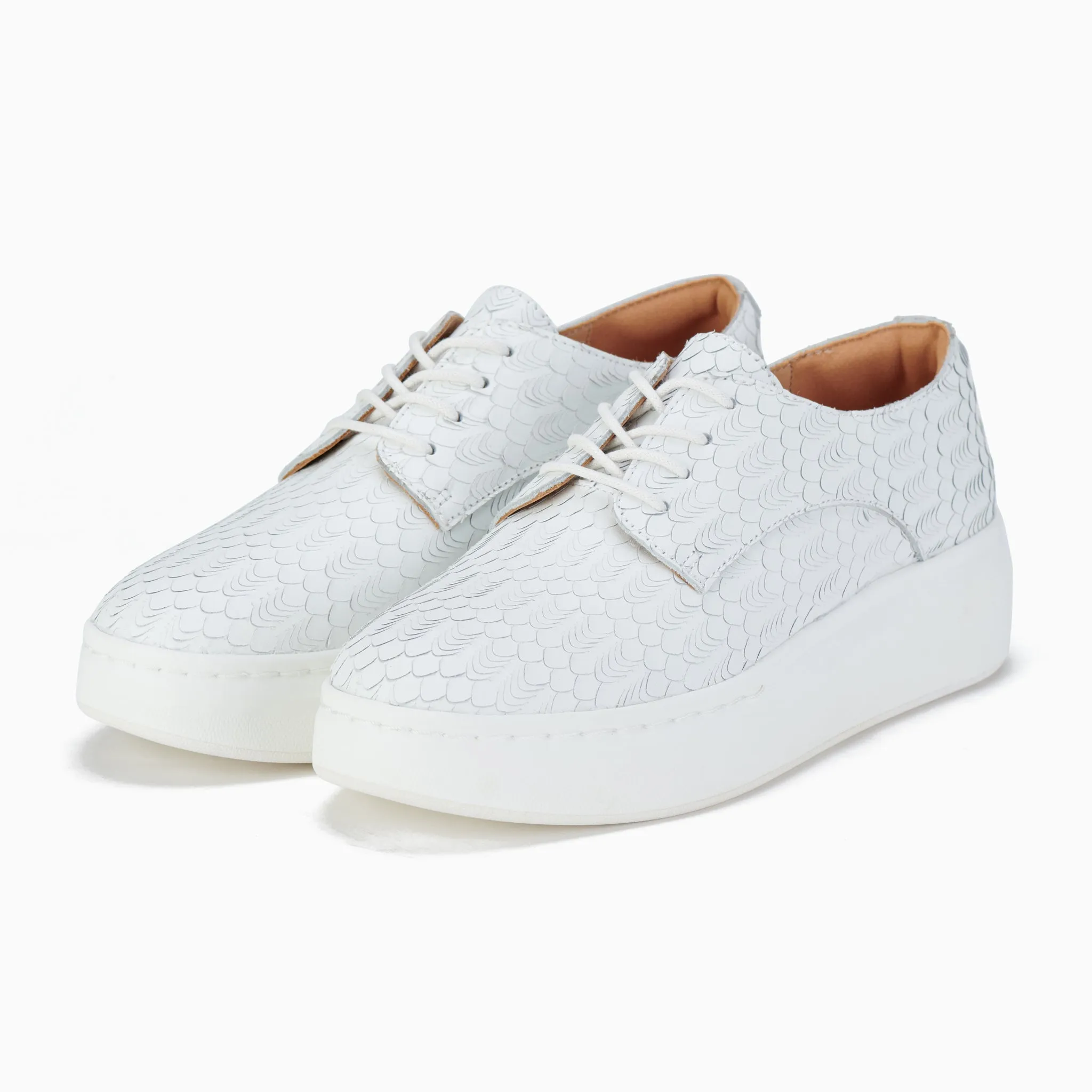 Derby City White Geo