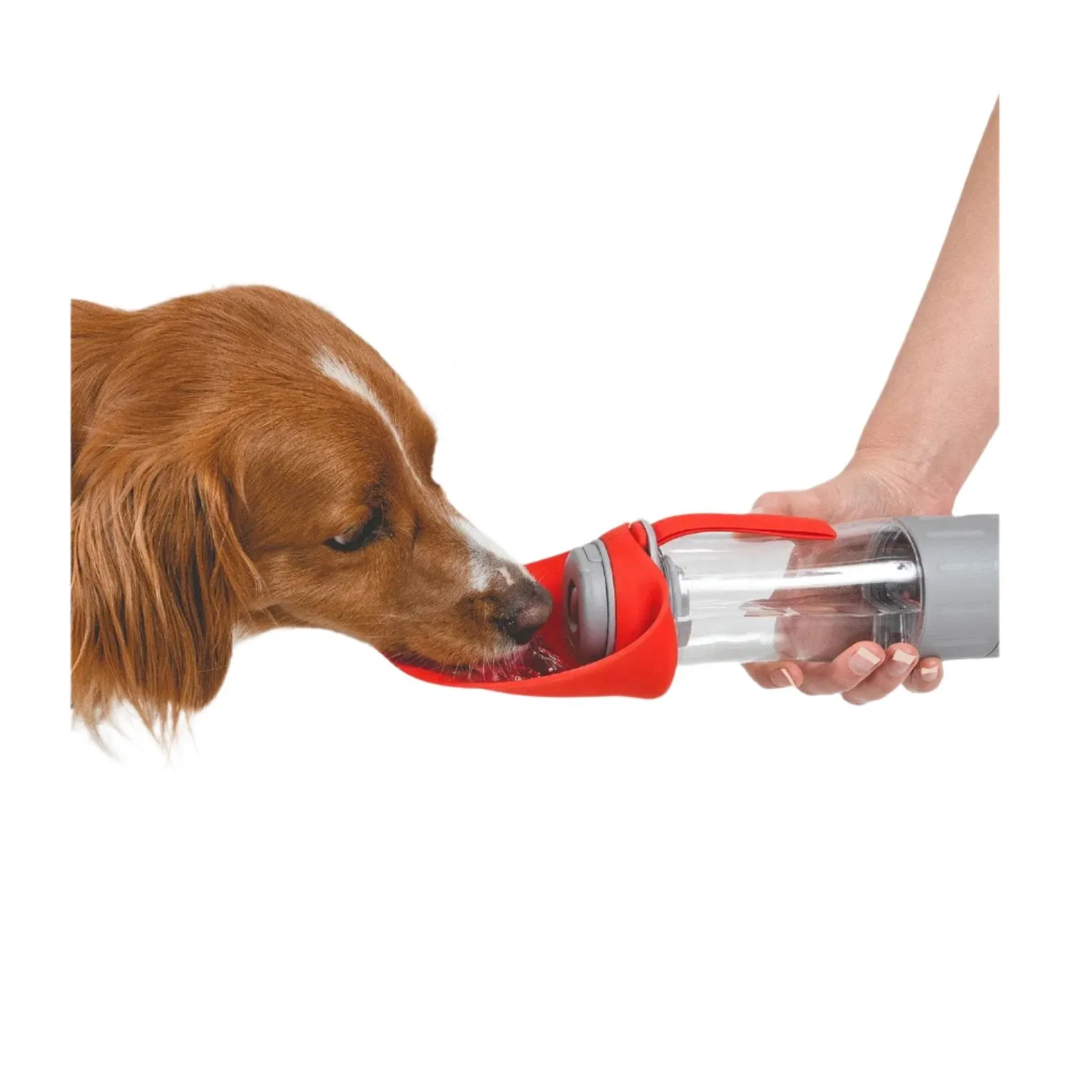 EzyDog Leaf Water Bottle Pro Red