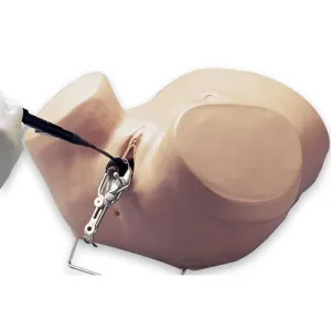 Hysteroscopy Simulator, Light