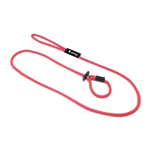 Kanu Pet Pink Slip Dog Leash & Collar