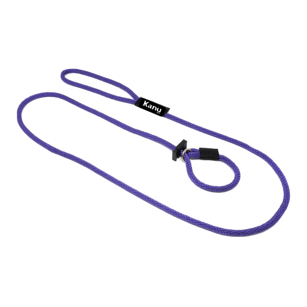 Kanu Pet Purple Slip Dog Leash & Collar