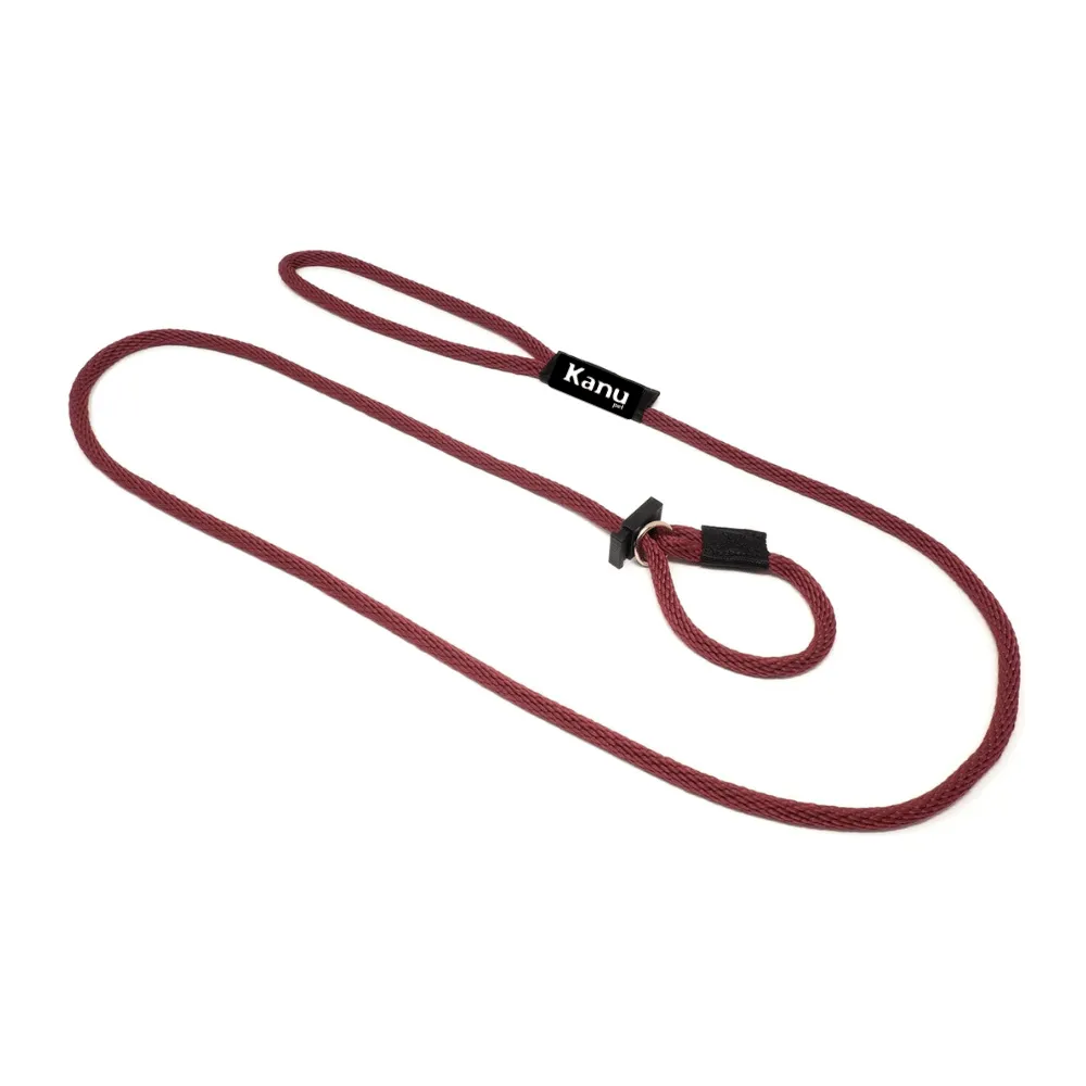 Kanu Pet Red Slip Dog Leash & Collar