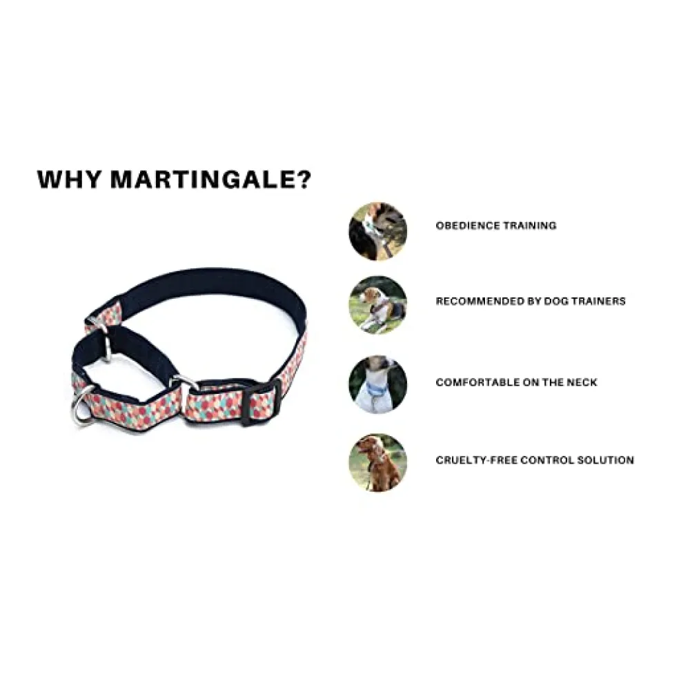 Mutt of Course Egg & Bacon Martingale Collar for Dogs