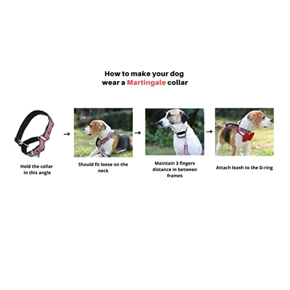 Mutt of Course Egg & Bacon Martingale Collar for Dogs