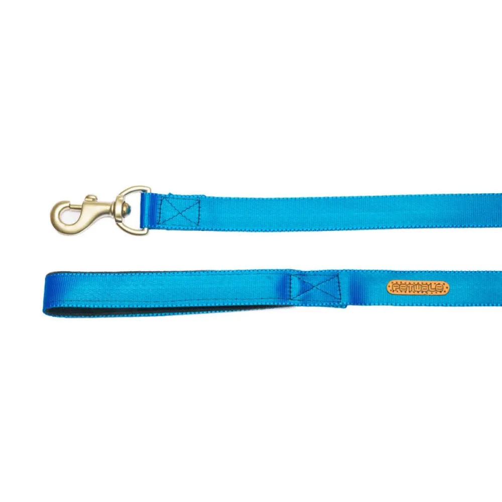 PetWale Long Lead Nylon Leash for Dogs (Blue)