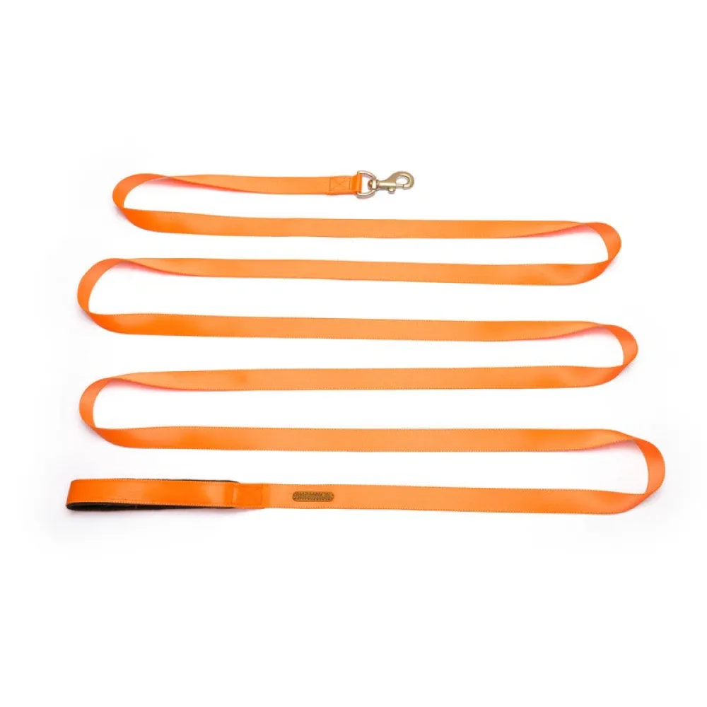 PetWale Long Lead Nylon Leash for Dogs (Orange)